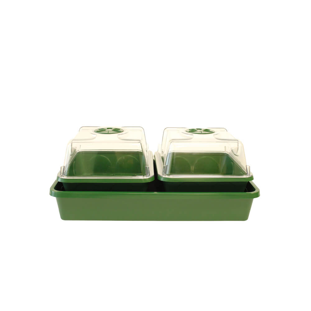 Green plastic propagator with two compartments and clear lids on a white background