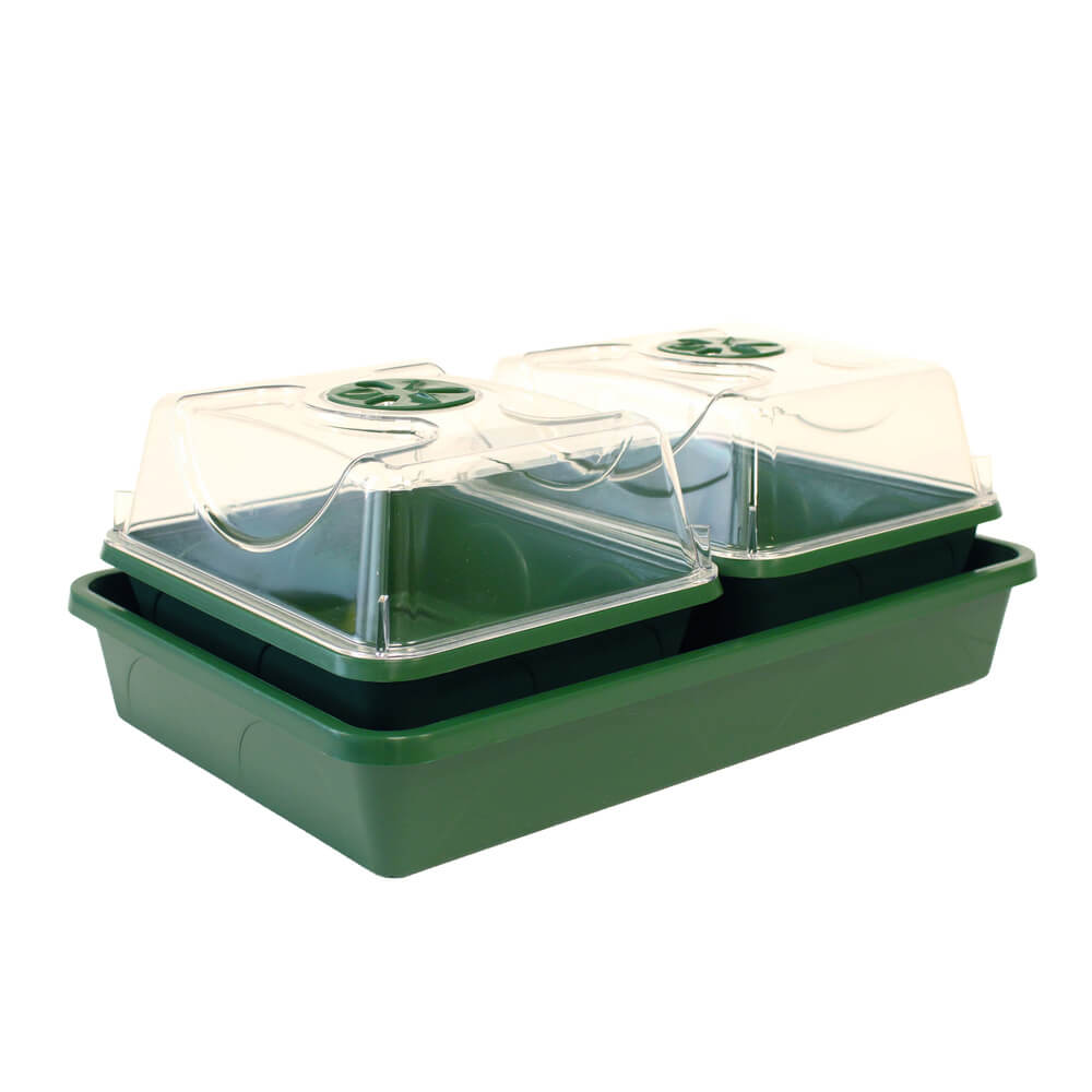 Green propagator with clear lid on a white background