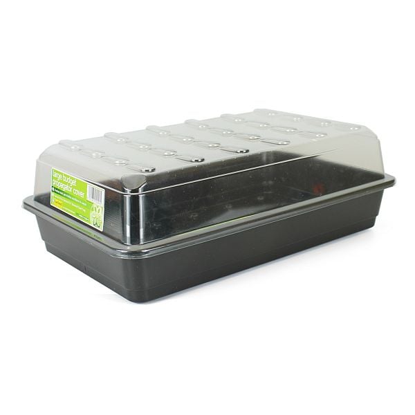 A black plastic seed tray with drainage holes, placed on a wooden surface with a plant in the background.