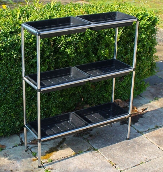 Seed Tray stand empty trays in garden next to bush