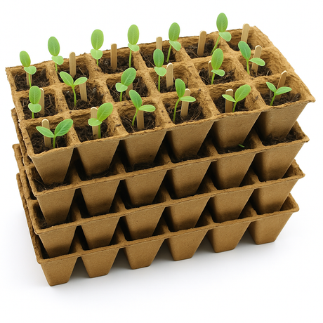 biodegradable seed trays with seedlings