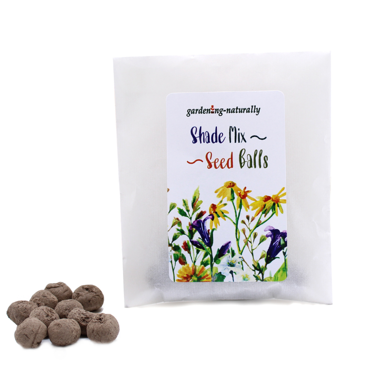 Wildflower Seedballs – Bee Friendly Mix