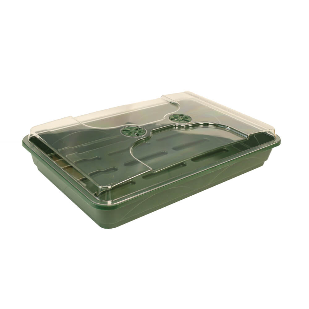 Green plastic tray propagator
