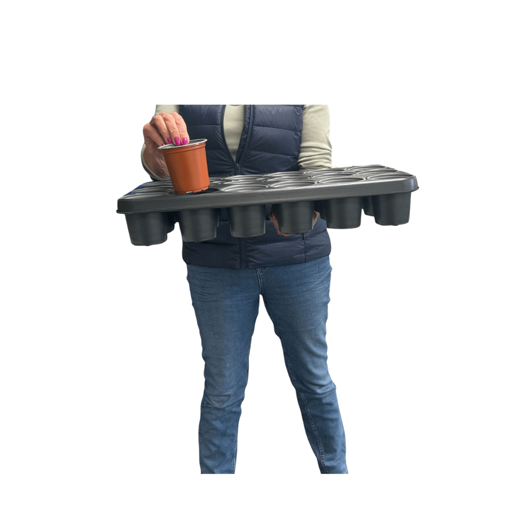 Person holding a tray with multiple small containers and a cup on a white background