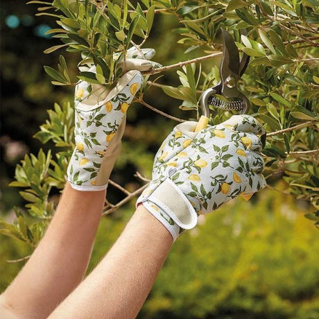 A person wearing Sicilian lemon gardening gloves.