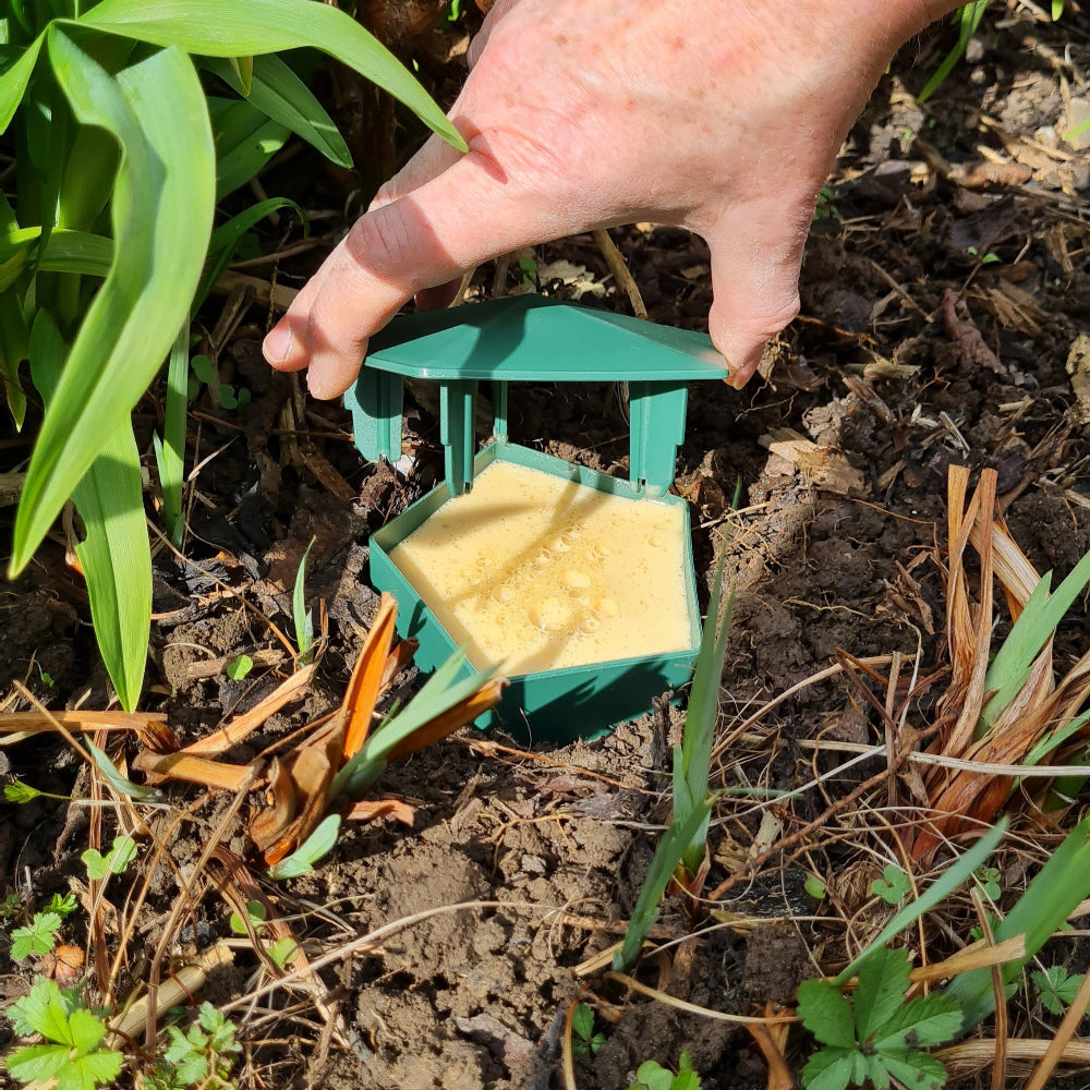 lid off the slug and snail trap