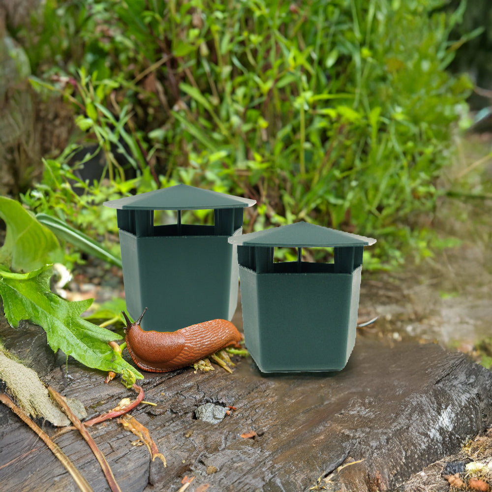 slug trap in garden outside