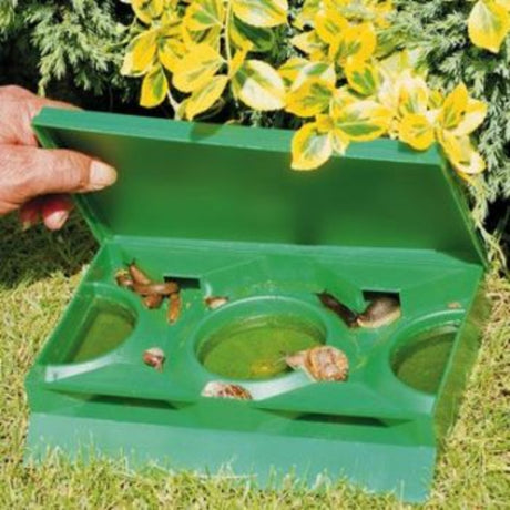 A green Slug X beer slug trap