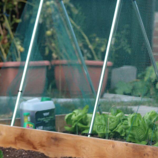 garden frame A shape with butterfly netting