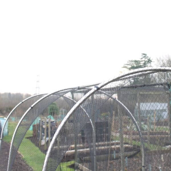 Large fruit cage made from aluminium hoops covered in bird netting in allotment