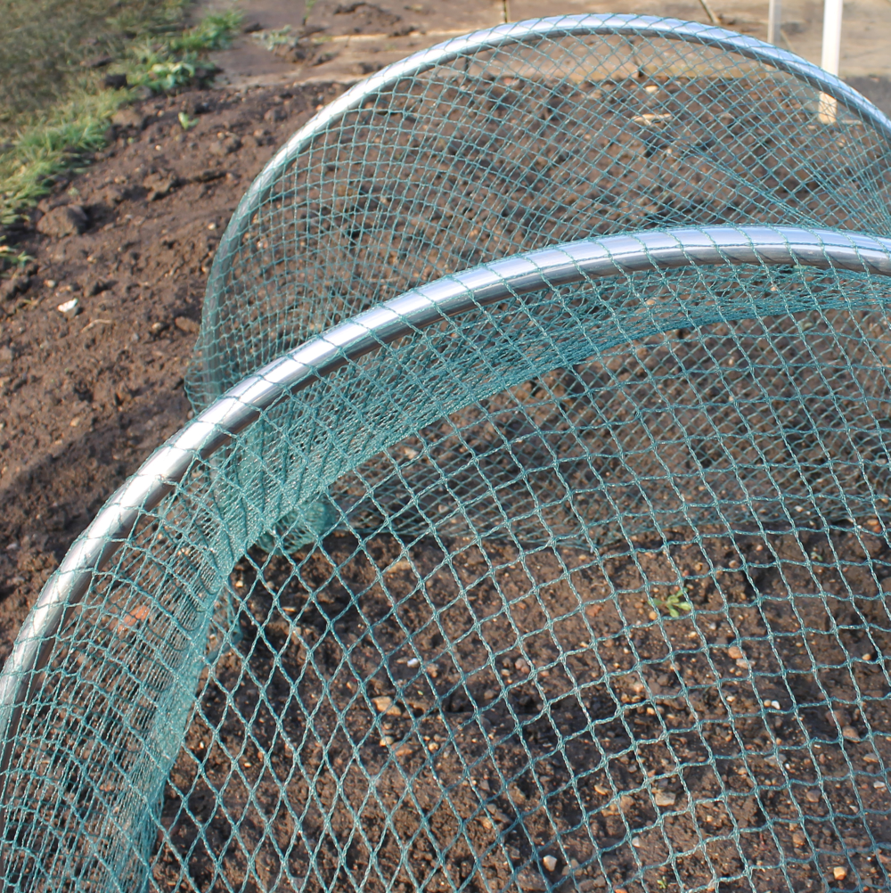 High top garden hoops with green bird netting on