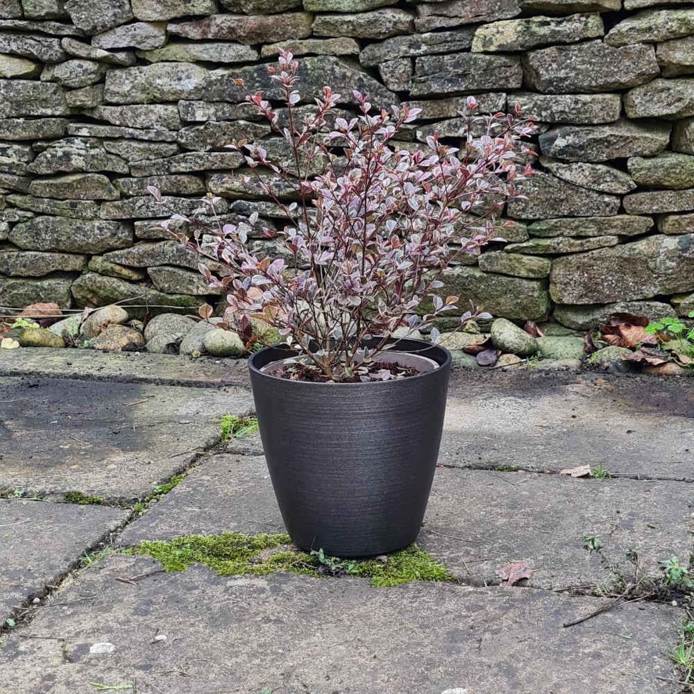 grey small garden planter milan