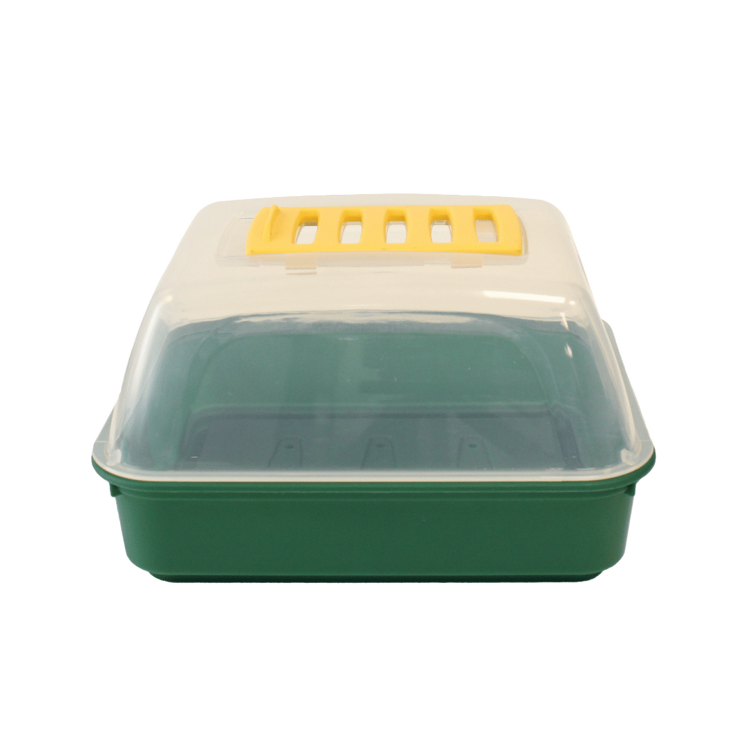 Single green propagator with clear lid and vent on top on white background