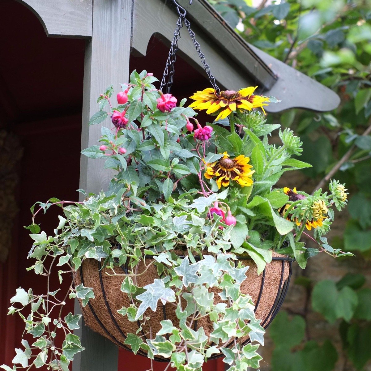 A metal hanging basket with a cocoa liner and colourful flowers