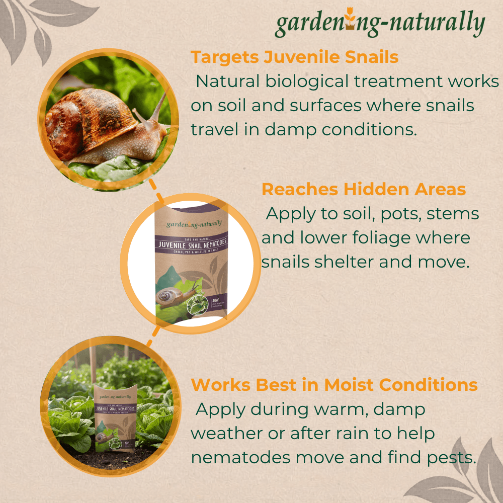 snail nematode benefits juvenile