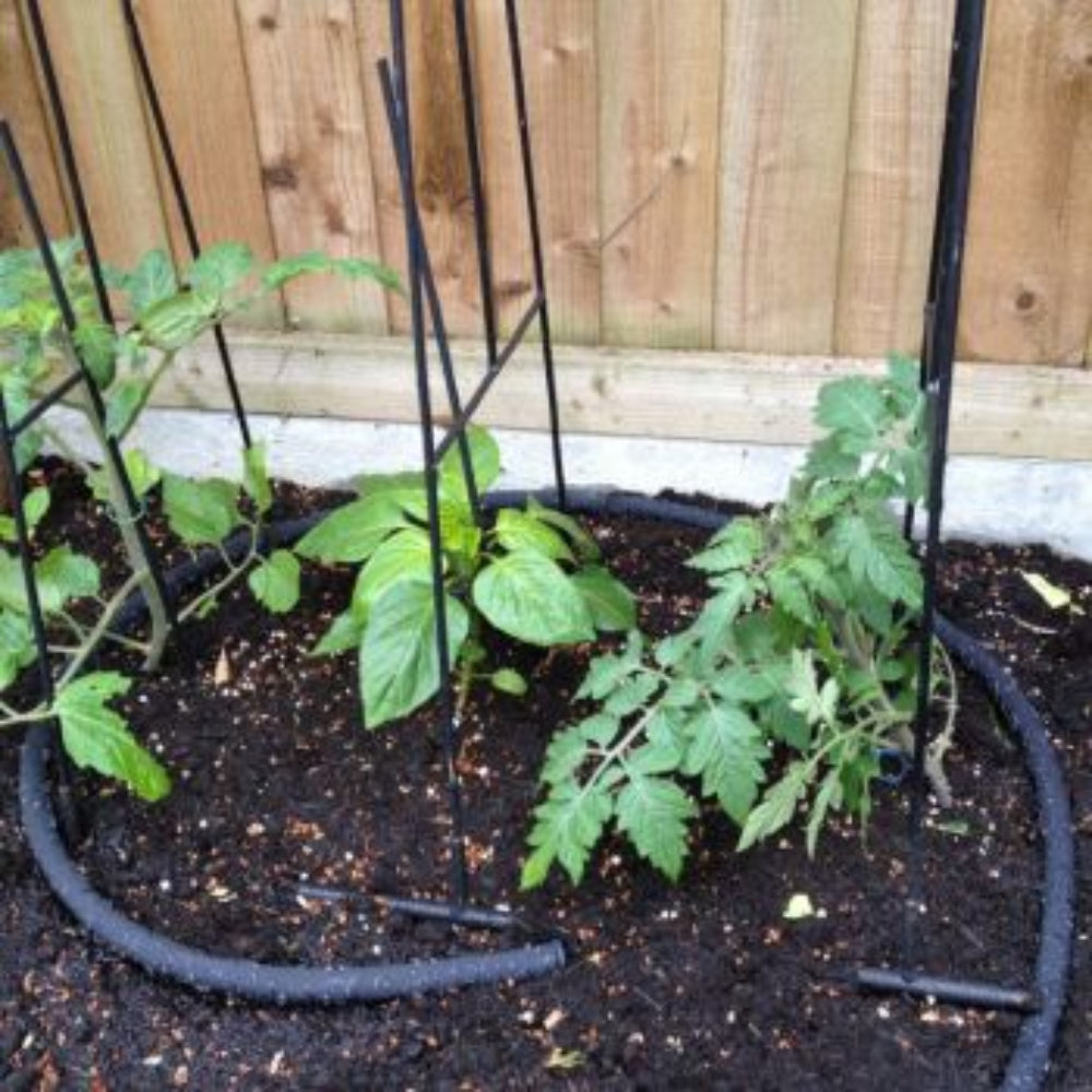 Soaker Hose installed in a garden raised bed