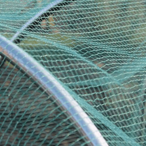 close of of soft green butterfly netting on cage