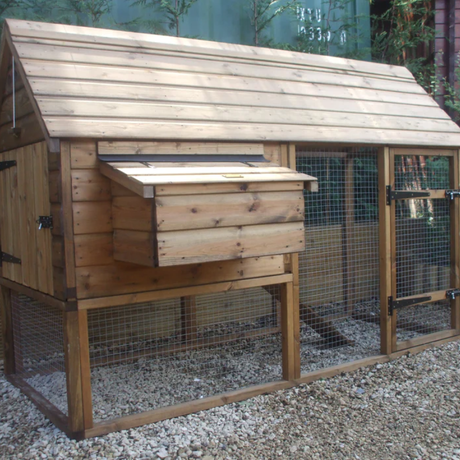 Hen house with egg collection area and run for chickens