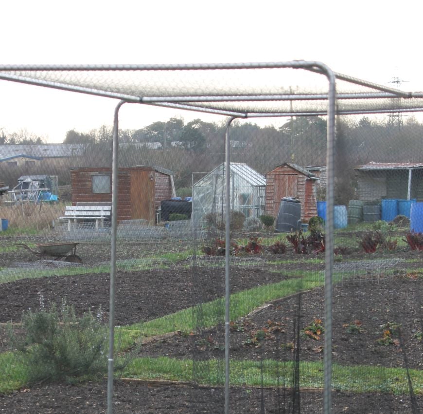 Top of square domed garden cage with sheds in background