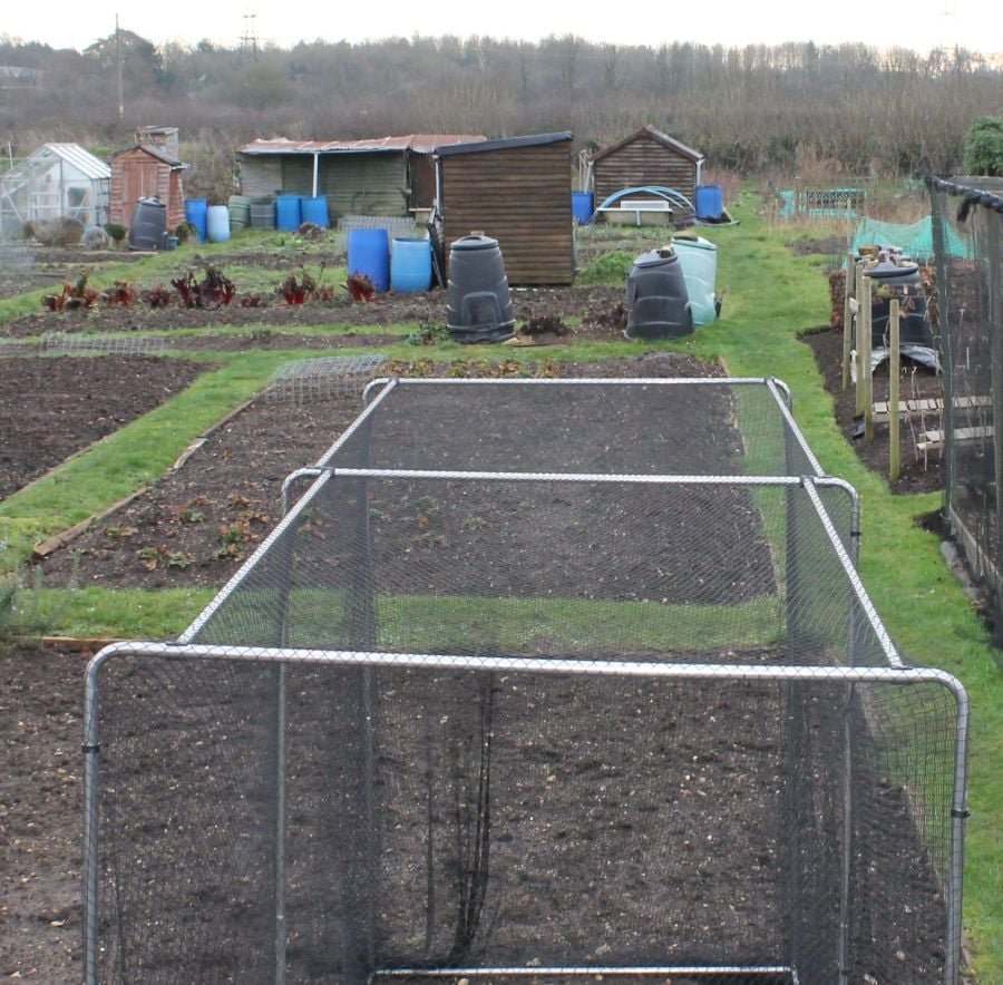 square garden vegetable cage