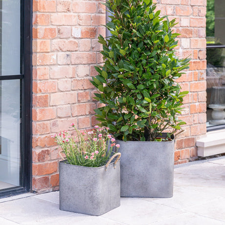 galvanised square plant pot