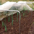 A garden tunnel kit with square aluminium hoops and a white netting covering
