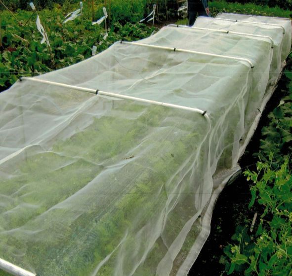 Garden mesh netting with square garden hoops in garden