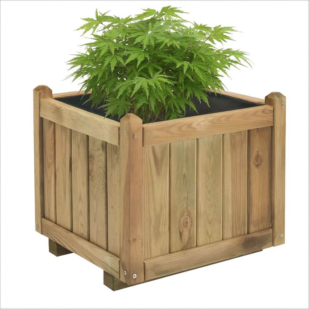 Wooden planter box with a green plant on a white background