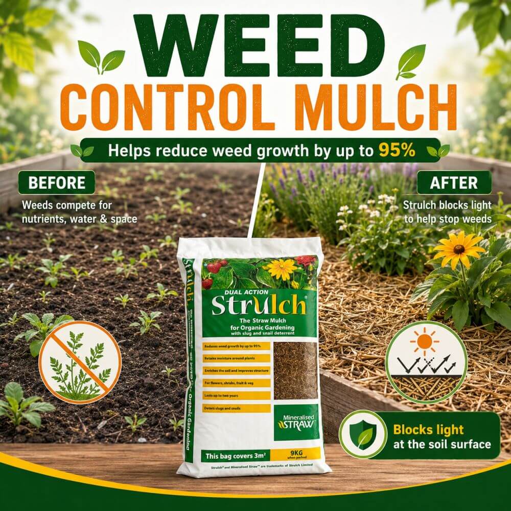 weed control mulch before and after