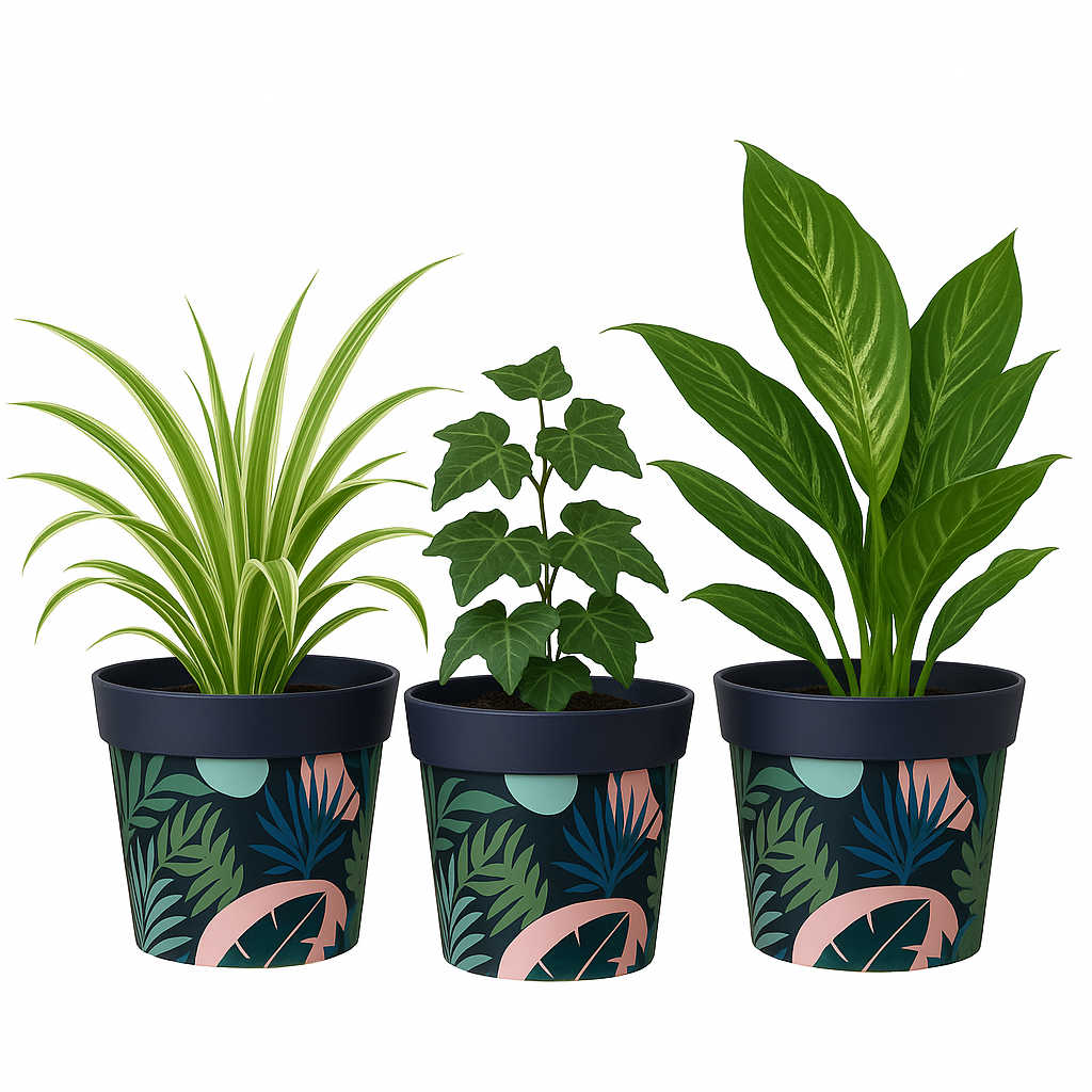 Blue and Pink Plant Pots