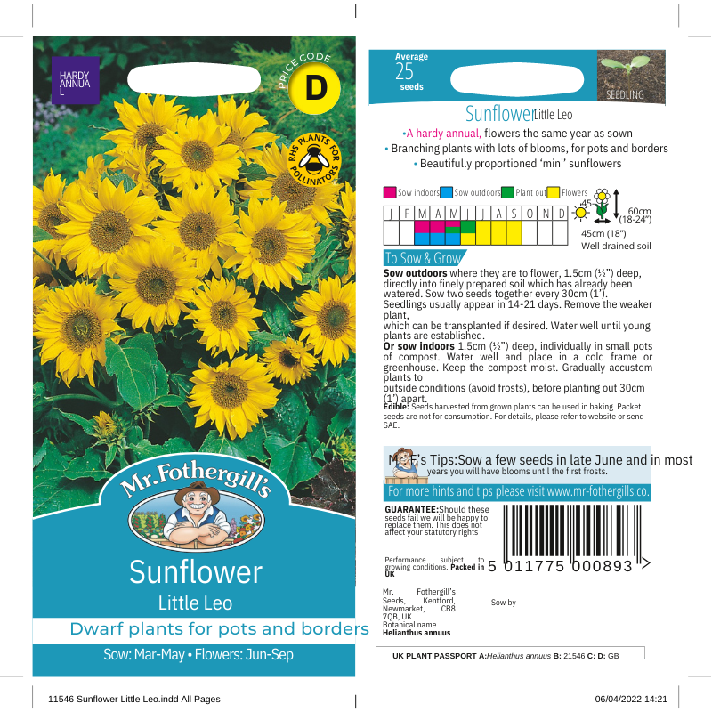 Packaging for Sunflower Little Leo seeds featuring an image of矮矮的向日葵植株 with yellow flowers.