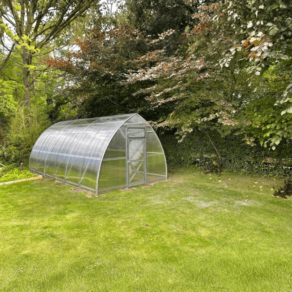 Polycarbonate greenhouse in a garden setting with trees and grass.