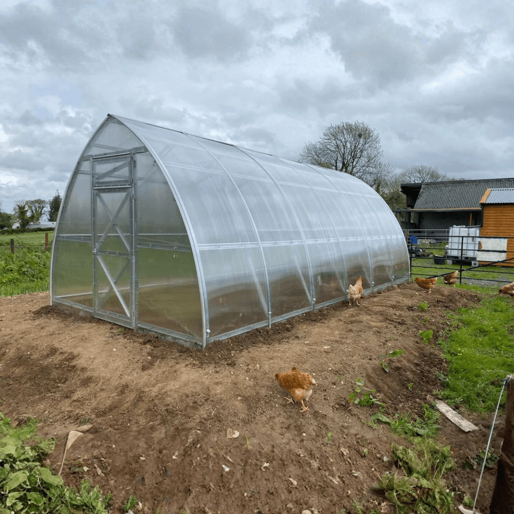 Polycarbonate greenhouse with chickens around on a cloudy day