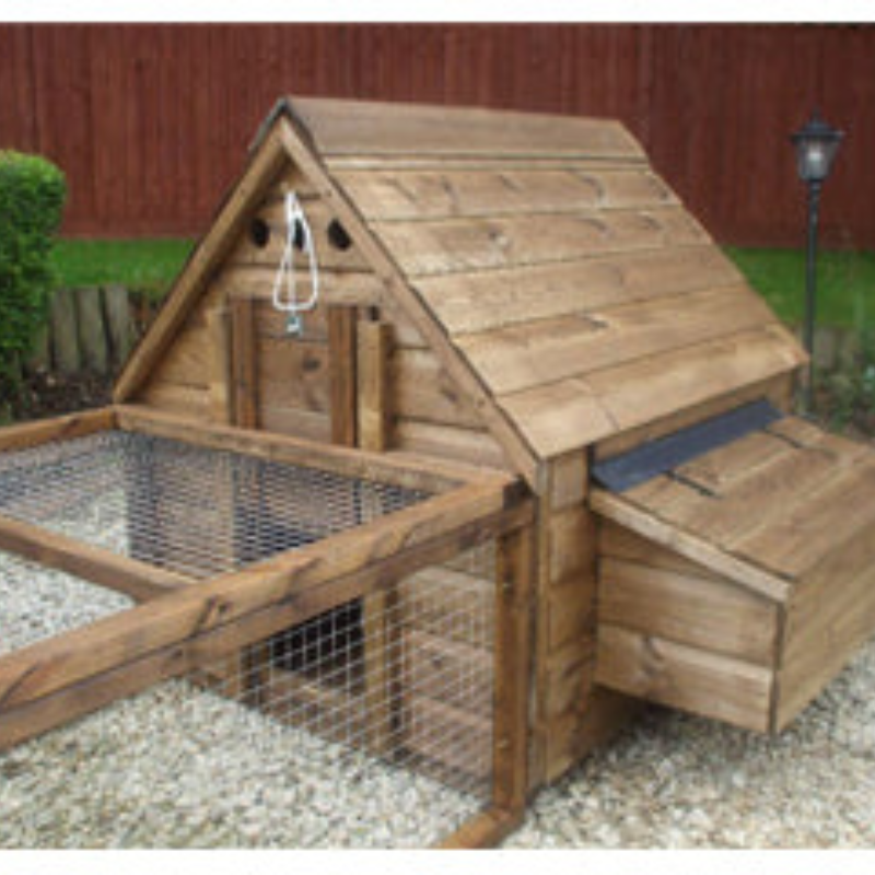 Sunnyside poultry run