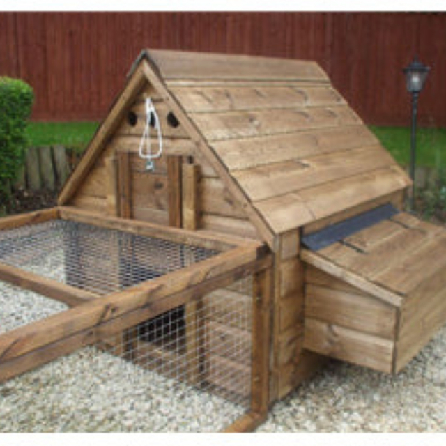 Sunnyside poultry run