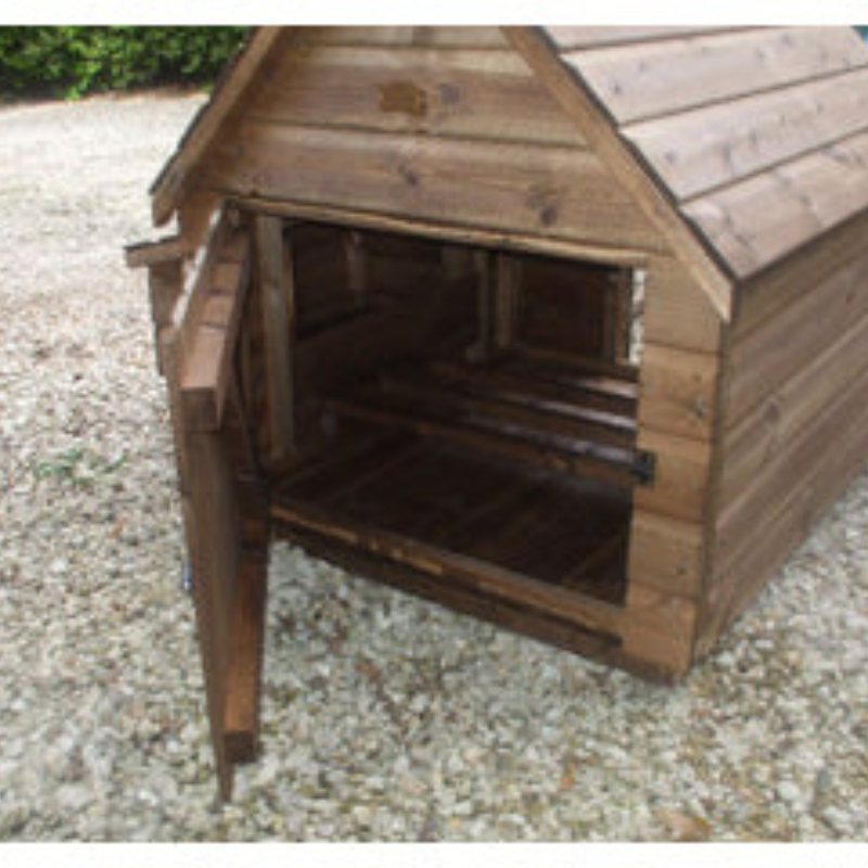 Sunnyside Chicken house door open