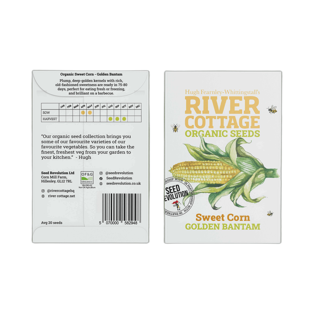 Two packages of River Cottage Organic Seeds for Sweet Corn Golden Bantam on a white background.