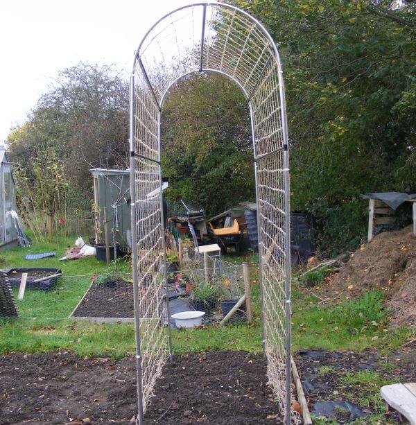 Domed Pea and Bean Growing Frame Support