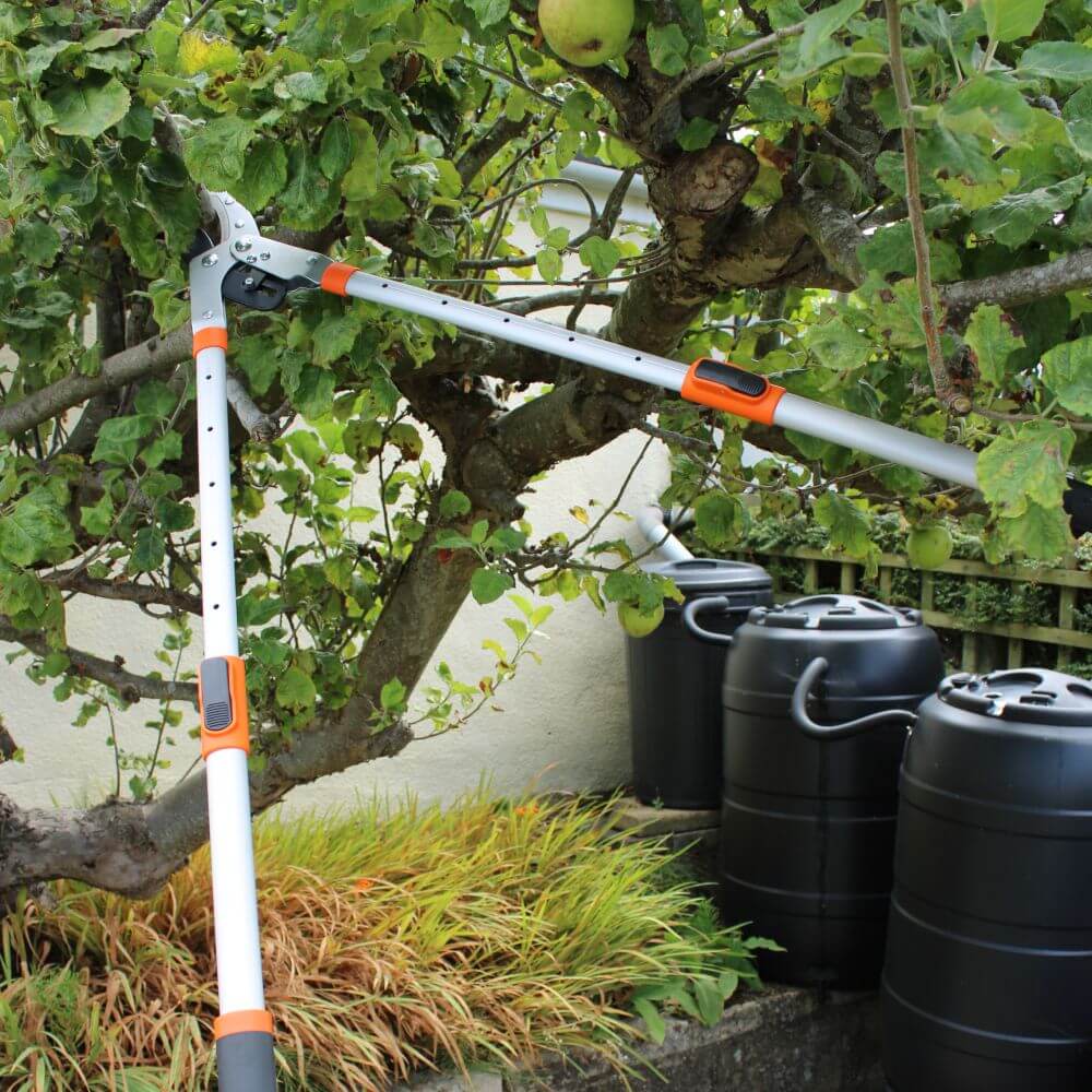 loppers cutting branch in tree