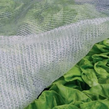 corner of thermacrop netting on vegetables