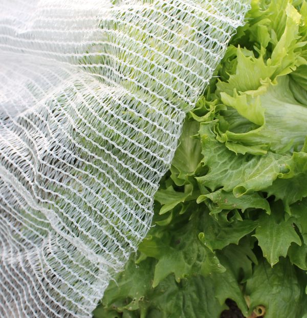 thermacrop fleece for plant protection