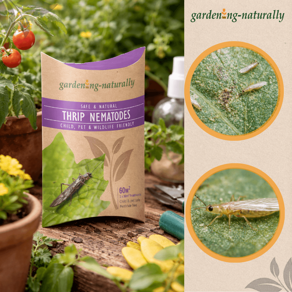 Gardening Naturally thrip nematodes package with images of pests and beneficial insects on a garden background.