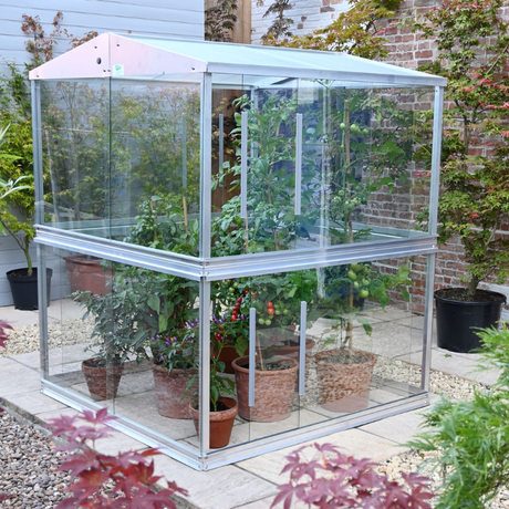 A square double tomato greenhouse made of 3mm toughened safety glass with plants inside, situated on a garden patio.