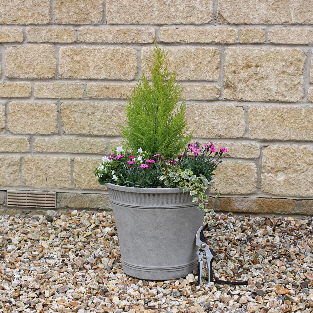 grey planter tostada style