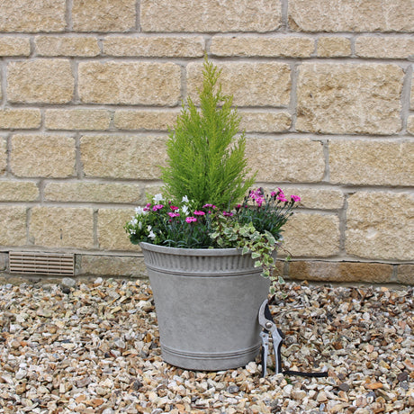 grey planter tostada style