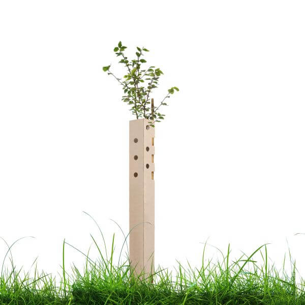 Eco Friendly Tree Guards Biodegradable Design