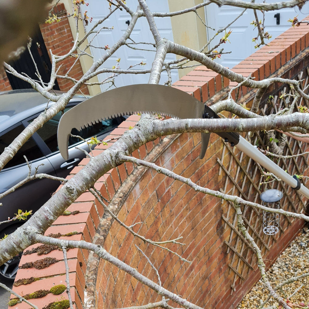 tree pruner saw cutting a tree branch
