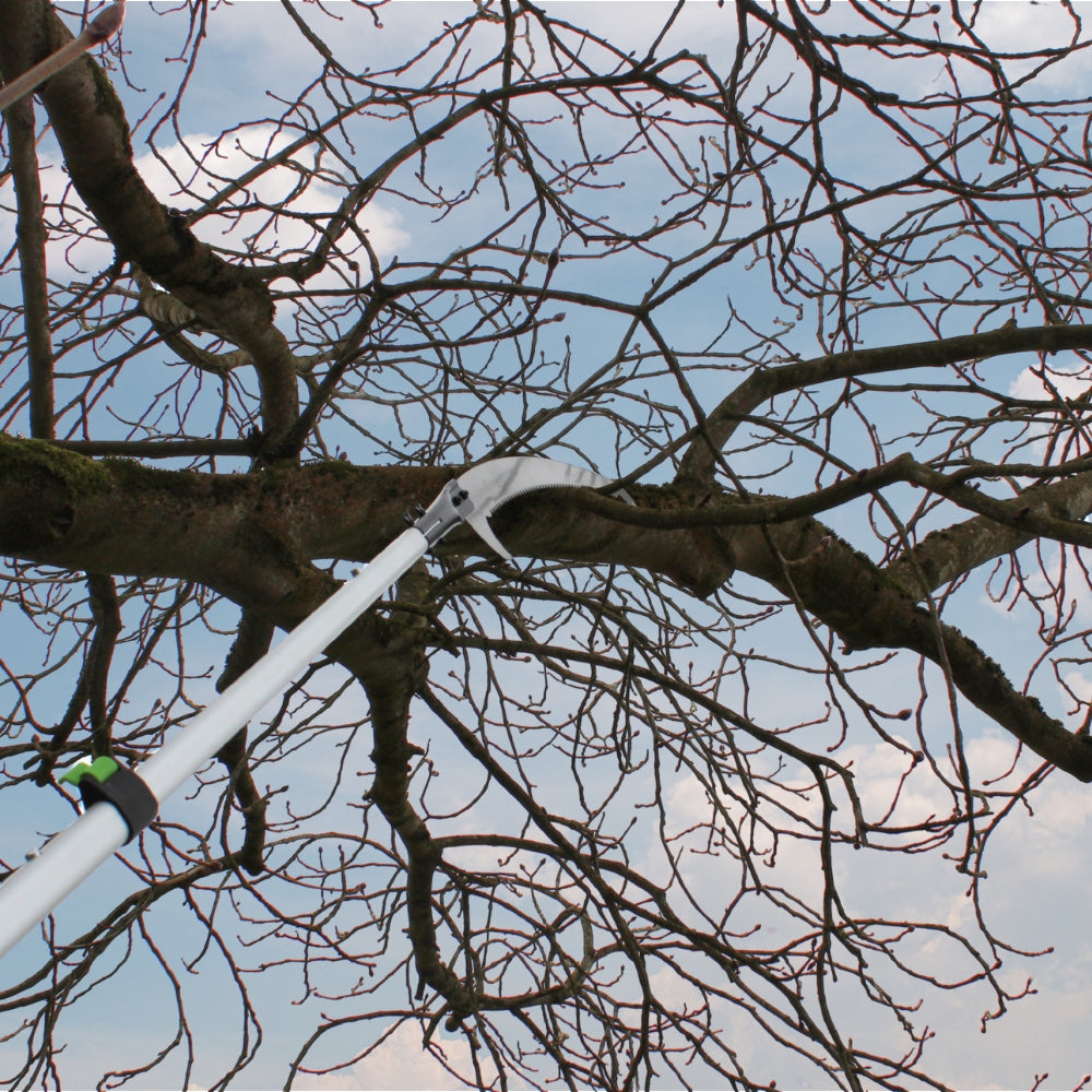 tree saw pruner cutting tree branch