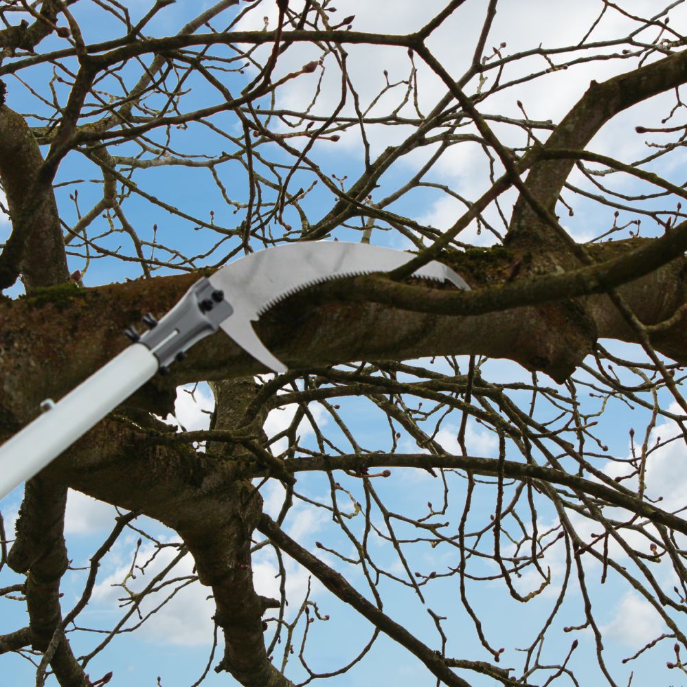 expandable tree saw pruner