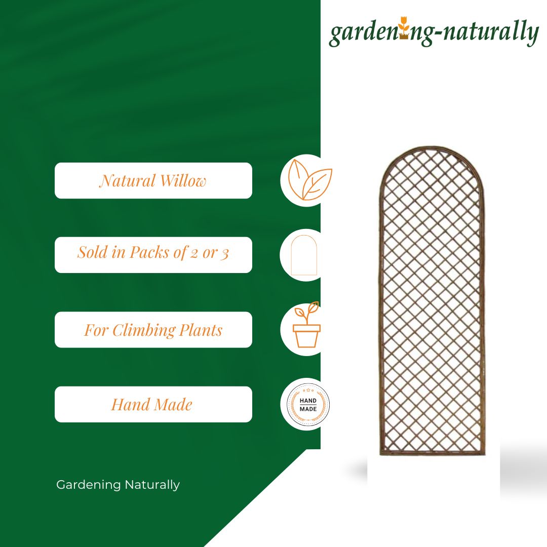 trellis panel infographics